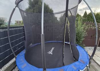 Trampolina 244 cm