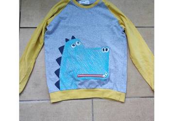bluza dinozaur kolorowa dziecięca kieszonka suwak