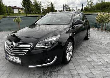 Insignia 2.0 2014r bez wkładu finansowego