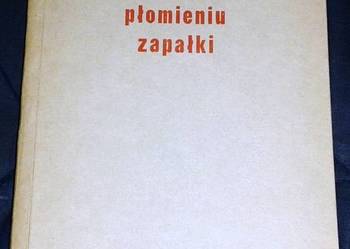 W płomieniu zapałki - Halina Oleńska-Zalewska