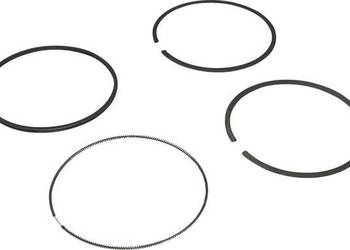 Pierścienie kpl. standard 694004