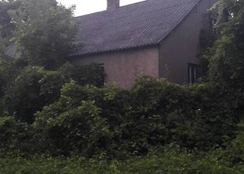Duza działka