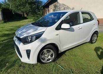 Kia Picanto model 2019, Serwisowany