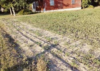 Siedlisko 95 arów | 72 ary budowlane | dom drewniany | Mościska-Kolonia
