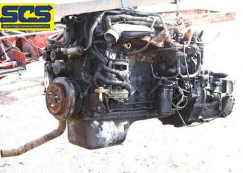 IVECO EUROCARGO SILNIK CZĘŚCI F4AE0681E  GŁOWICA TŁOK IVECO EUROCARGO SILNIK CZĘŚCI F4AE0681E  GŁOWICA TŁOK