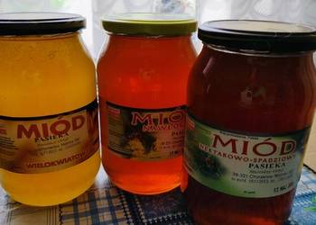Miód z własnej pasieki