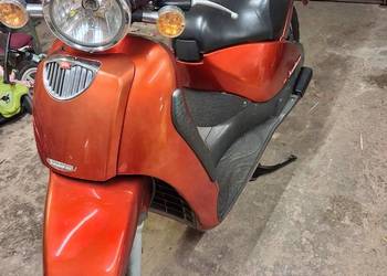 Aprilia scaraabeo 125