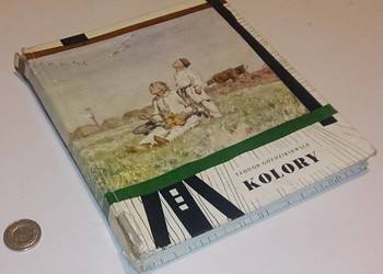 Teodor Goździkiewicz „Kolory”, NK, 1965 (Książka)