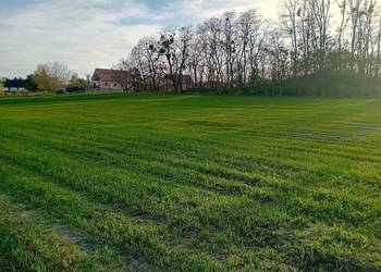 Binowo działka budowlana 2800m2 z MPZP