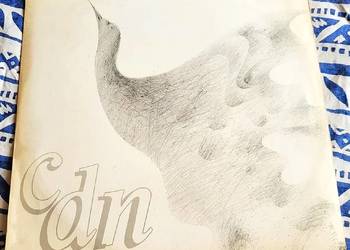 Irena Santor - Cdn . płyta winylowa z roku 1981