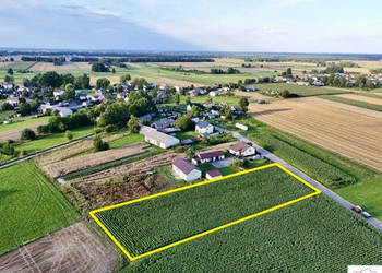 Działka 3872m2 Daćbogi