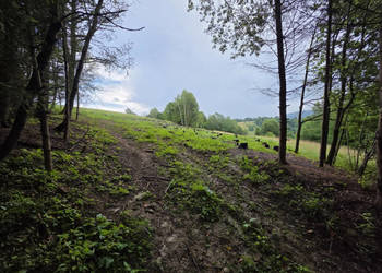 Działka BUDOWLANA – 28 arów, Bieszczady, Bóbrka, k. SOLINA