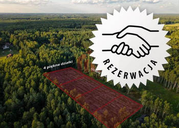 Działka 900m2 Czarna Sędziszowska