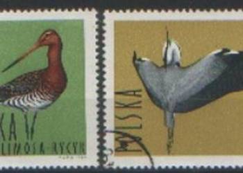 Zn. Fi 1343, 4, 6, 7 kas 1964