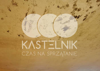 Odgrzybianie ścian Wołczyn - Kastelnik - Usuwanie grzybów i pleśni