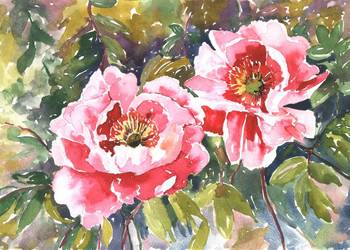 OBRAZ =akwarela KWIATY=