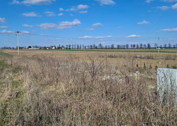 Działka Prandocin-Iły 2600m2