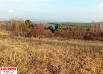 Do sprzedaży działka 17841m Daleszyce
