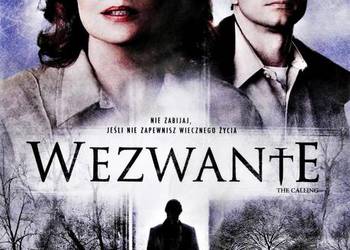 WEZWANIE  SUSAN SARANDON WEZWANIE  SUSAN SARANDON