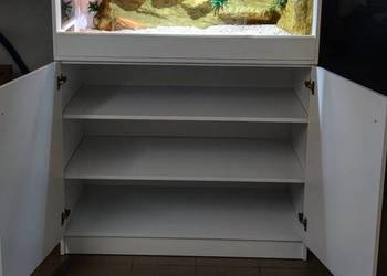 Terrarium pustynne dla żółwia greckiego gekona lamparciego