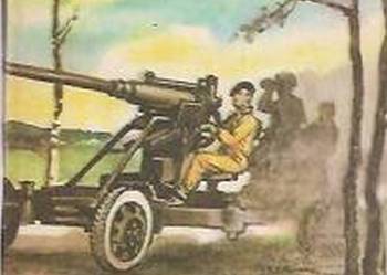 ŻÓŁTY TYGRYS - STARACHOWICKI WRZESIEŃ - ZIOŁO L.