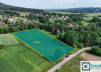 Działka 13100m2 Krasna