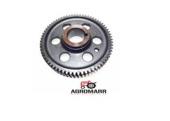 KOŁO PASUJE LANDINI KOŁO PASUJE LANDINI