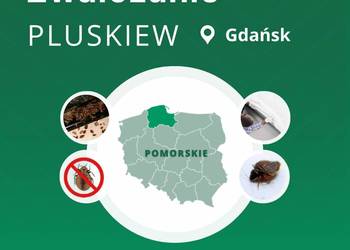 Zwalczanie pluskiew Gdańsk - Odpluskwianie, Dezynsekcja