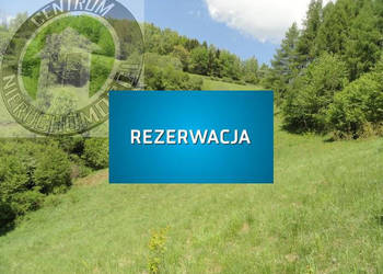 Grunt sprzedam Ochotnica Dolna 2600m2