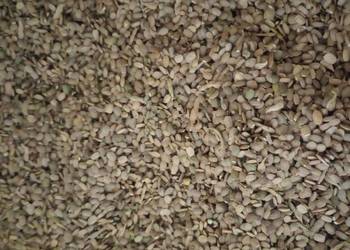 Seradela ekologiczna z certyfikatem Ekogwarancja