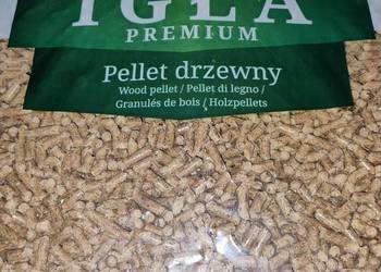 Pellet igła premium