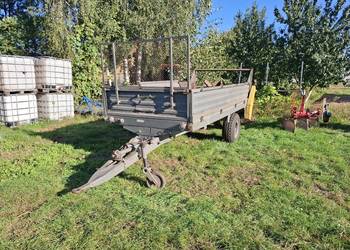 Rozrzutnik Czarna Białostocka