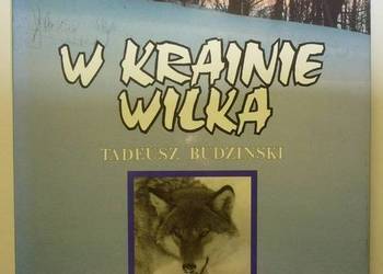 W KRAINIE WILKA - BUDZIŃSKI TADEUSZ