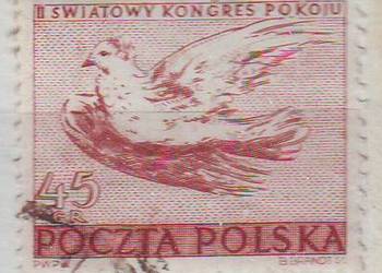 Zn. Fi 531 II kas 1950