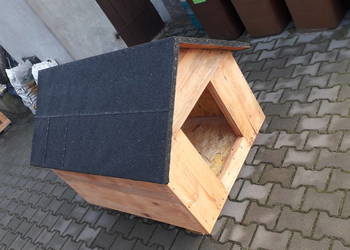 Buda dla psa bardzo duża