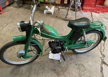 Komar - zarejestrowany