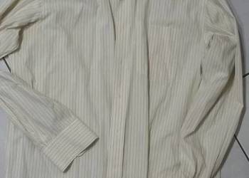 tommy hilfiger, koszula męska