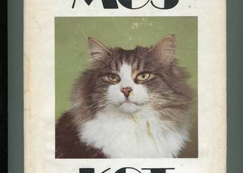 Mój kot