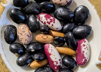 Fasolnik i fasola szparagowa karłowa i tyczna