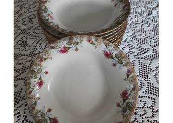 głęboki obiadowy talerz na zupę porcelanowy chodzież iwona złota róża