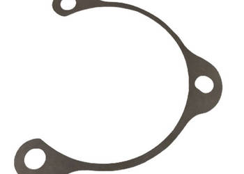 401884R2 Uszczelka 0,127 mm CNH