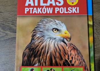 Książki