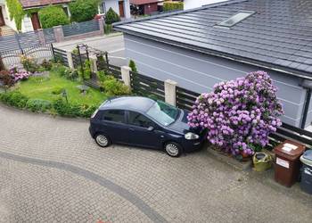 Fiat Punto Evo