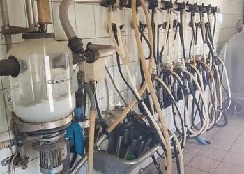 Dojarka przewodowa delaval