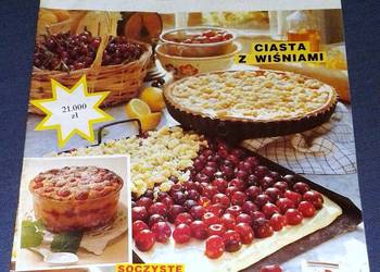 Ciasta domowe mojej kuchni Nr 42/1994 Ciasta domowe mojej kuchni Nr 42/1994