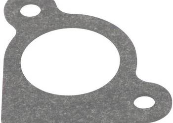 Uszczelnienie wlewu 794306