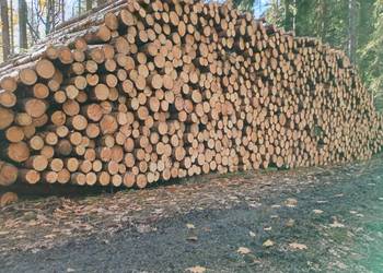 Stęple żerdzie słupki