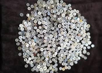 Guziki białe koszulowe 550 sztuk.