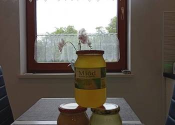 Sprzedam miód