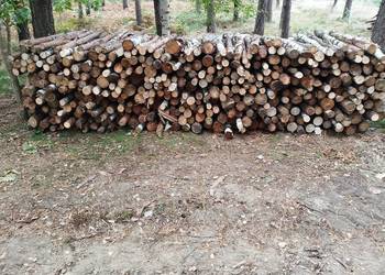 Suche drewno opałowe SOSNA + BRZOZA